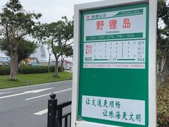 -野狸岛