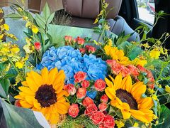 -沪花拾者(好再来花卉鲜花店)