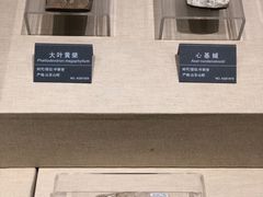 -安徽省地质博物馆