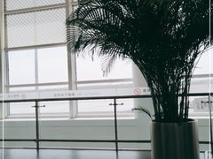 -银川河东国际机场