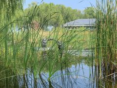 -廊坊文化艺术中心