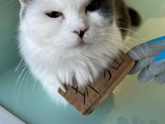 -怪兽屋·羊驼·猫咖·狗咖(俊华广场店)