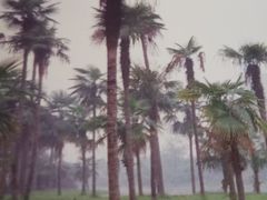 -西南交通大学(九里校区)
