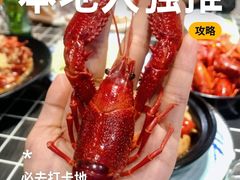 -老鄞江清水龙虾•赵赵家(江北店)