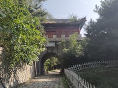 -云岗森林公园