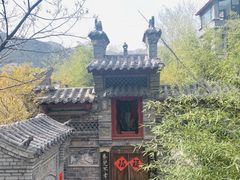 -老张烤羊(王哥庄店)