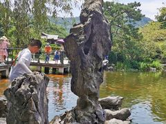 -西湖外事游船(花港观鱼码头)