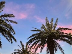 -上海玛雅海滩水公园