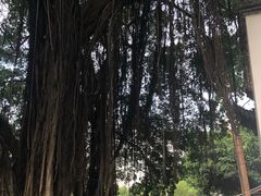 -乌山风景区