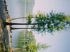 -红花湖景区