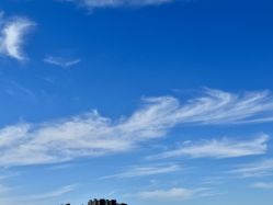 -香薇妮丝·定制减肥·身材管理