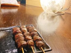 鸡胗-串鑫