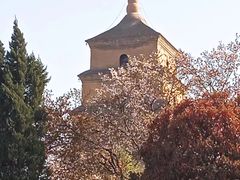 -大雁塔文化休闲景区-北广场