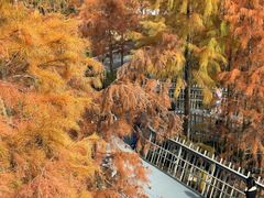 -梅峰山地公园