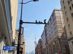 -新发记港式茶餐厅(黄浦店)