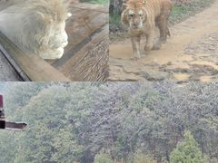 -杭州野生动物世界