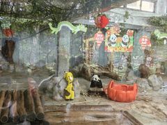 -海南热带野生动植物园