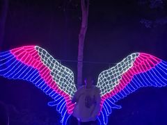 -昆山城市生态森林公园