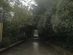 -张坝桂圆林公园