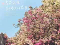 -深圳国际园林花卉博览园