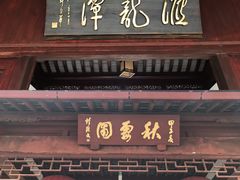 -嘉定紫藤园