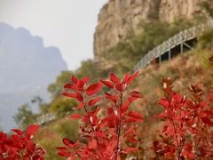 -狼牙山风景区