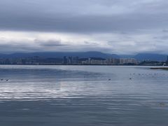 -洱海月湿地公园