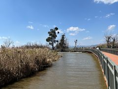 -捞渔河湿地公园