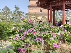 -大慈恩寺(大雁塔)
