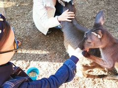 -费瑟代尔野生动物园