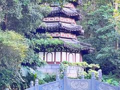 -深圳国际园林花卉博览园