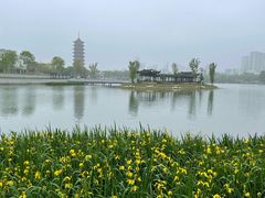-葛仙湖公园