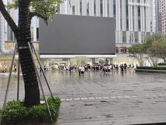 -Seesaw Coffee(深圳万象天地店)
