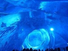 -海合安武汉极地海洋公园