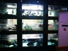 -全乐鱼馆·淳牌有机鱼直营店