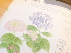 -BRAVO 赞·美艺术中心·系统美术·书法·艺考(双井校区)