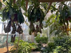 -北京植物园-展览温室