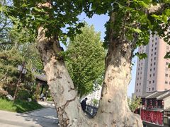 -回龙窝历史文化街区