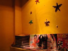 -百好乐宠物友好餐厅(朝外大街店)