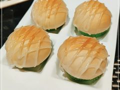 -新兴·金羊座·粤菜点心(乐峰店)