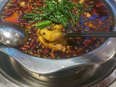 -乡土特色.冷锅鱼.牦牛肉汤锅