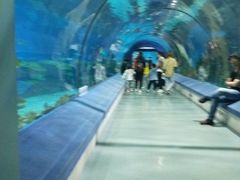 -福州罗源湾海洋世界旅游区