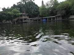 -晓港公园