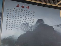 -山城正宗集安高丽火盆