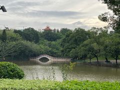 -深圳龙潭公园