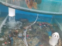 -聚德福海鲜家常菜(刘庄店)