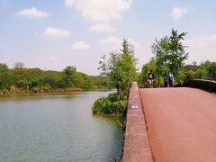 -白鹭湾湿地公园