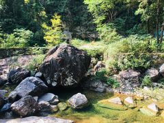 -花岩国家森林公园