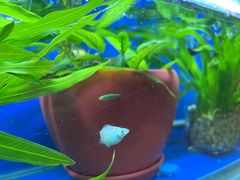 -北纬29度大堂吧-重庆富力艾美酒店-近江岸天街