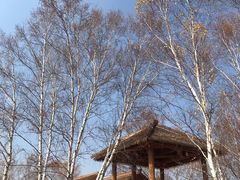 -塞罕坝国家级自然保护区